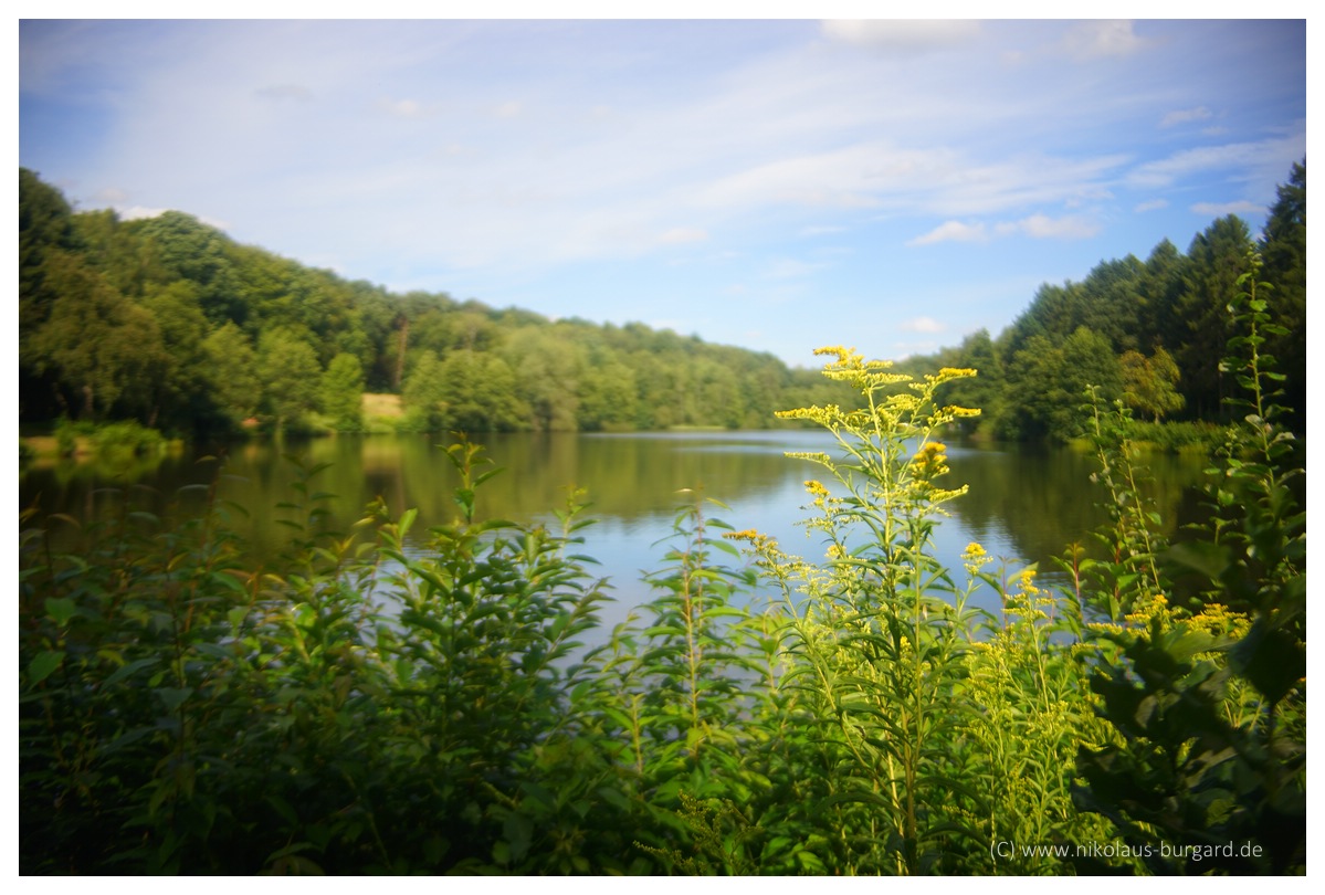 Name:  299kb_Glashtter Weiher Stein 28mm, Drumargeddon 004.jpg
Hits: 458
Gre:  291,3 KB