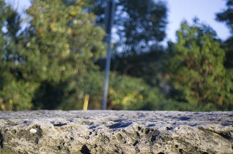 Name: _IMGP2275.jpg
Hits: 5407
Größe: 121,1 KB