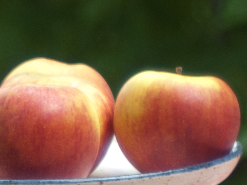 Name: aepfel_jupiter..JPG
Hits: 6161
Größe: 195,9 KB