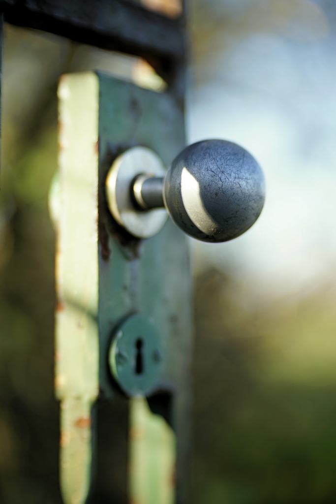 Name:  _DSC6359 Meostigmat 1,4-70.jpg
Hits: 701
Größe:  179,8 KB