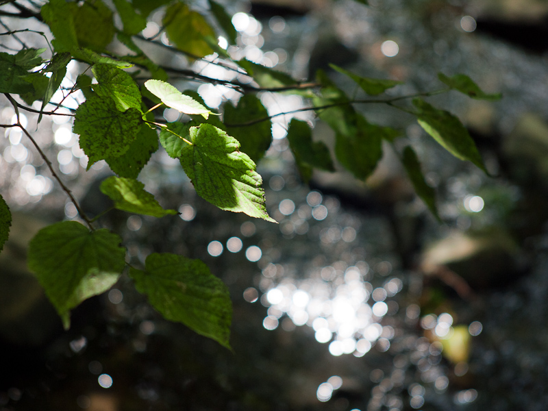 Name: bach_f2-8..JPG
Hits: 6625
Größe: 269,6 KB