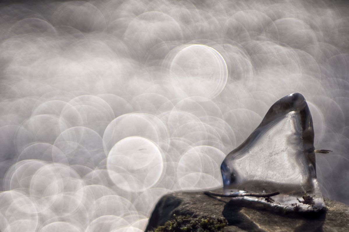 Name: nature DSC09666.jpg
Hits: 653
Größe: 108,1 KB