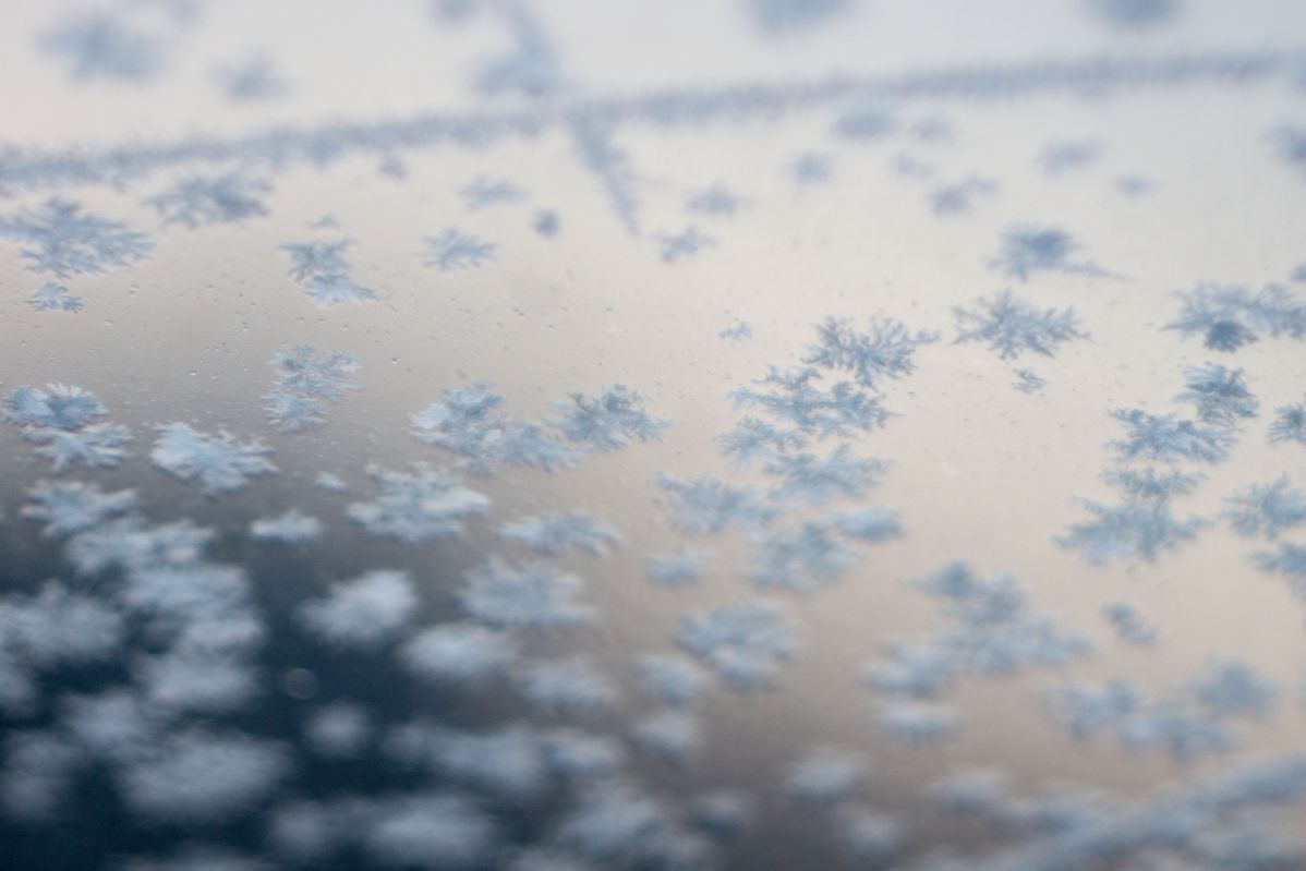 Name: ice DSC09648.jpg
Hits: 647
Größe: 87,7 KB