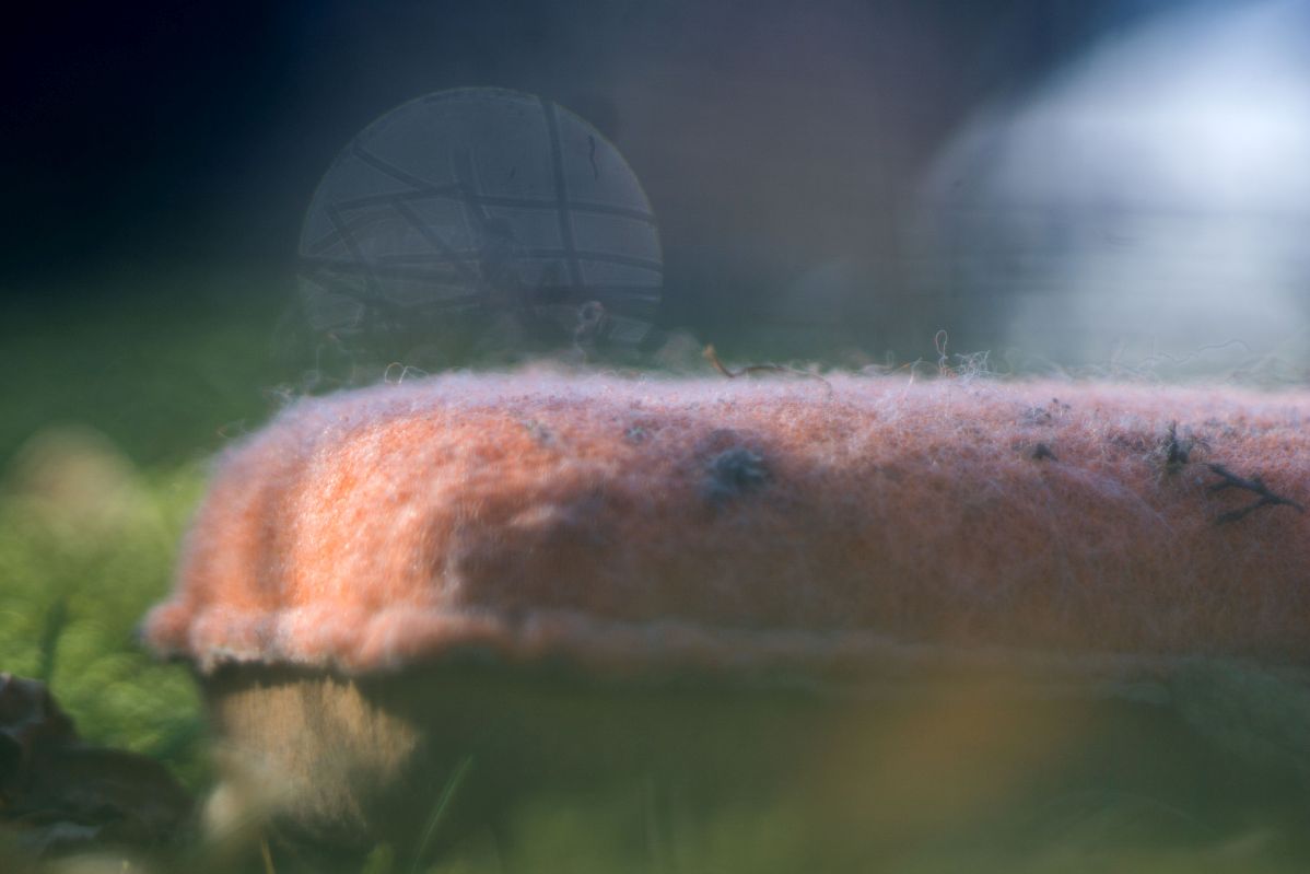 Name: nature DSC09651.jpg
Hits: 646
Größe: 72,4 KB