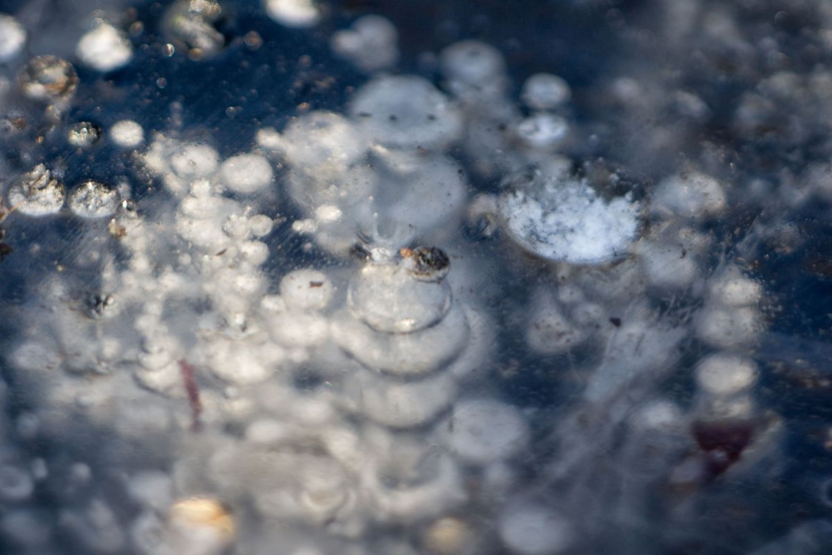 Name: ice DSC09652.jpg
Hits: 631
Größe: 129,0 KB