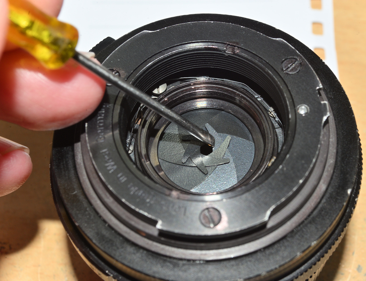 Name: DSC_11044.jpg
Hits: 910
Größe: 406,5 KB