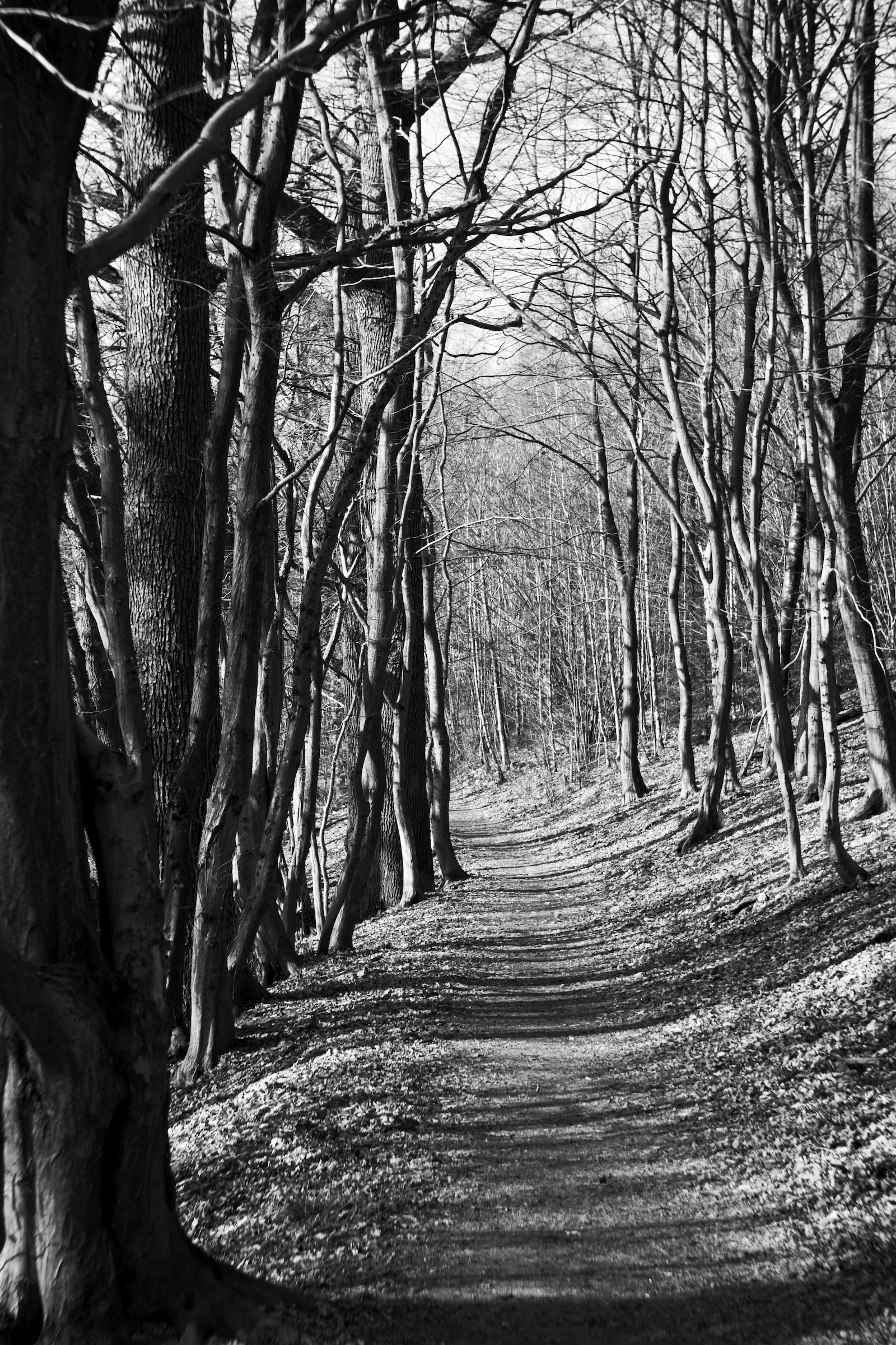 Name: A7C02709_10MP.jpg
Hits: 489
Größe: 1,89 MB