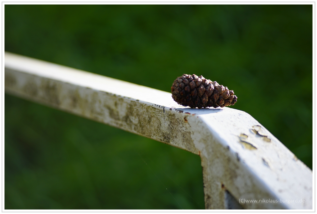 Name:  298kb_Carl Zeiss 90mm f2.8 Contax G 005.jpg
Hits: 1419
Gre:  296,9 KB