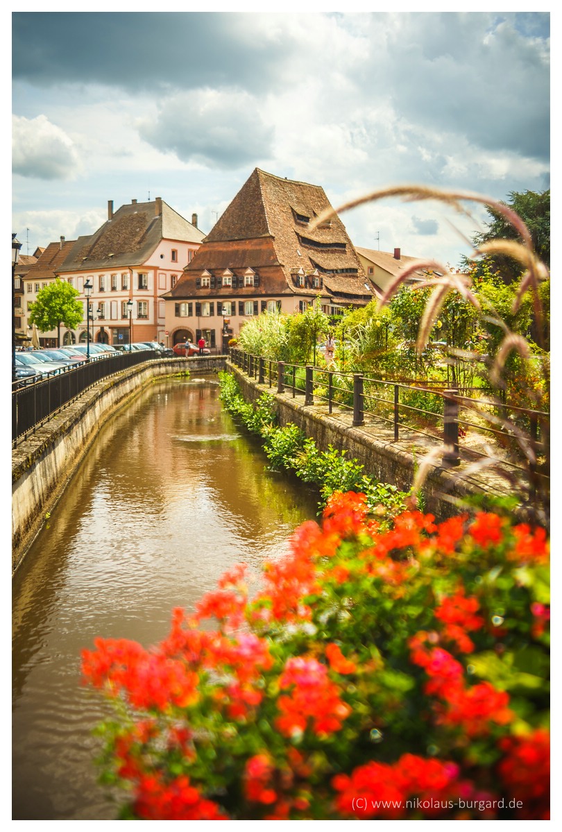 Name:  299kb_Wissembourg Soligor 35-70 f2.5-3.5 + 60-300 f4-5.6 038.jpg
Hits: 726
Gre:  294,2 KB