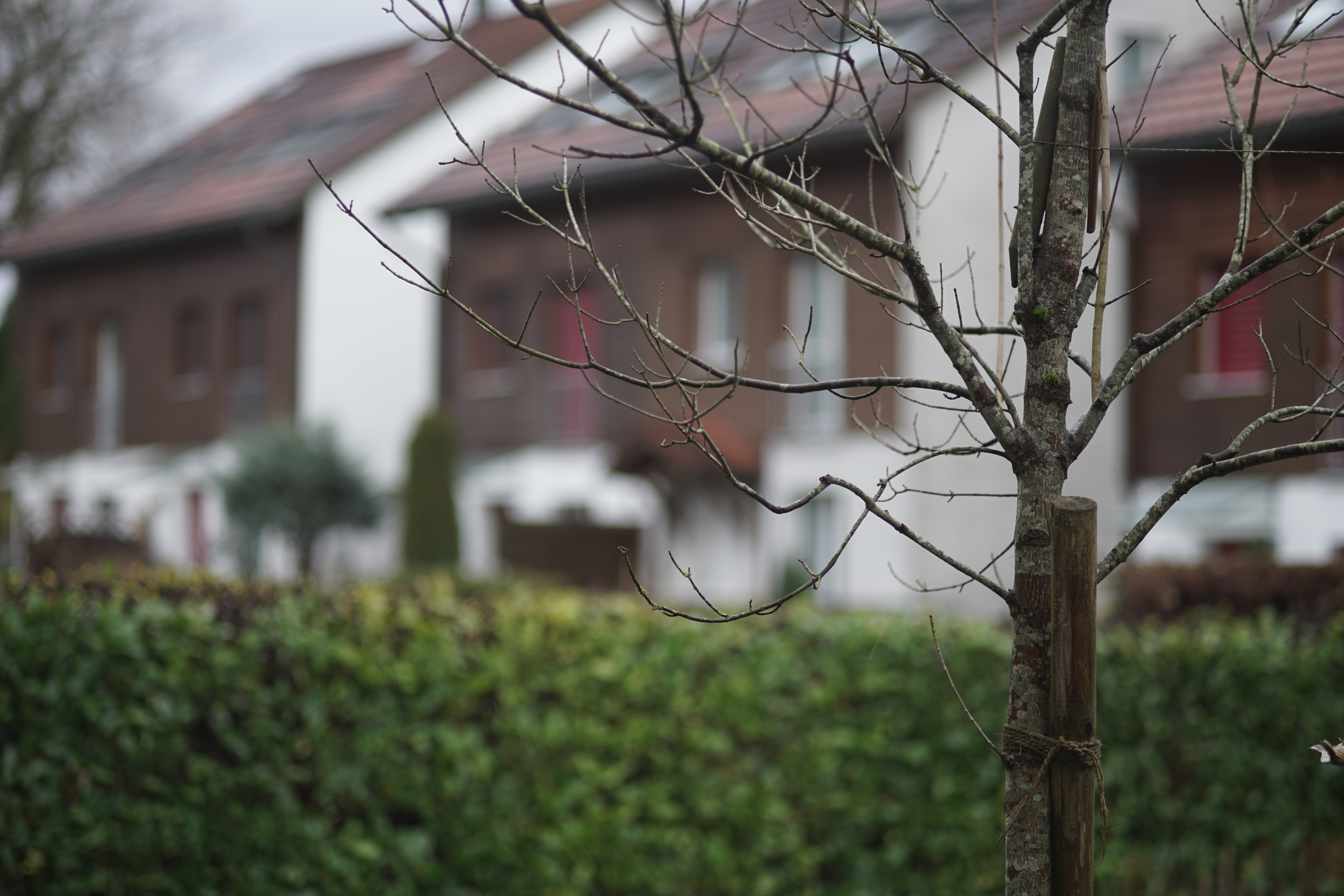 Name: 01_Canon_100mm_2_2_nah.jpg
Hits: 1156
Größe: 4,29 MB