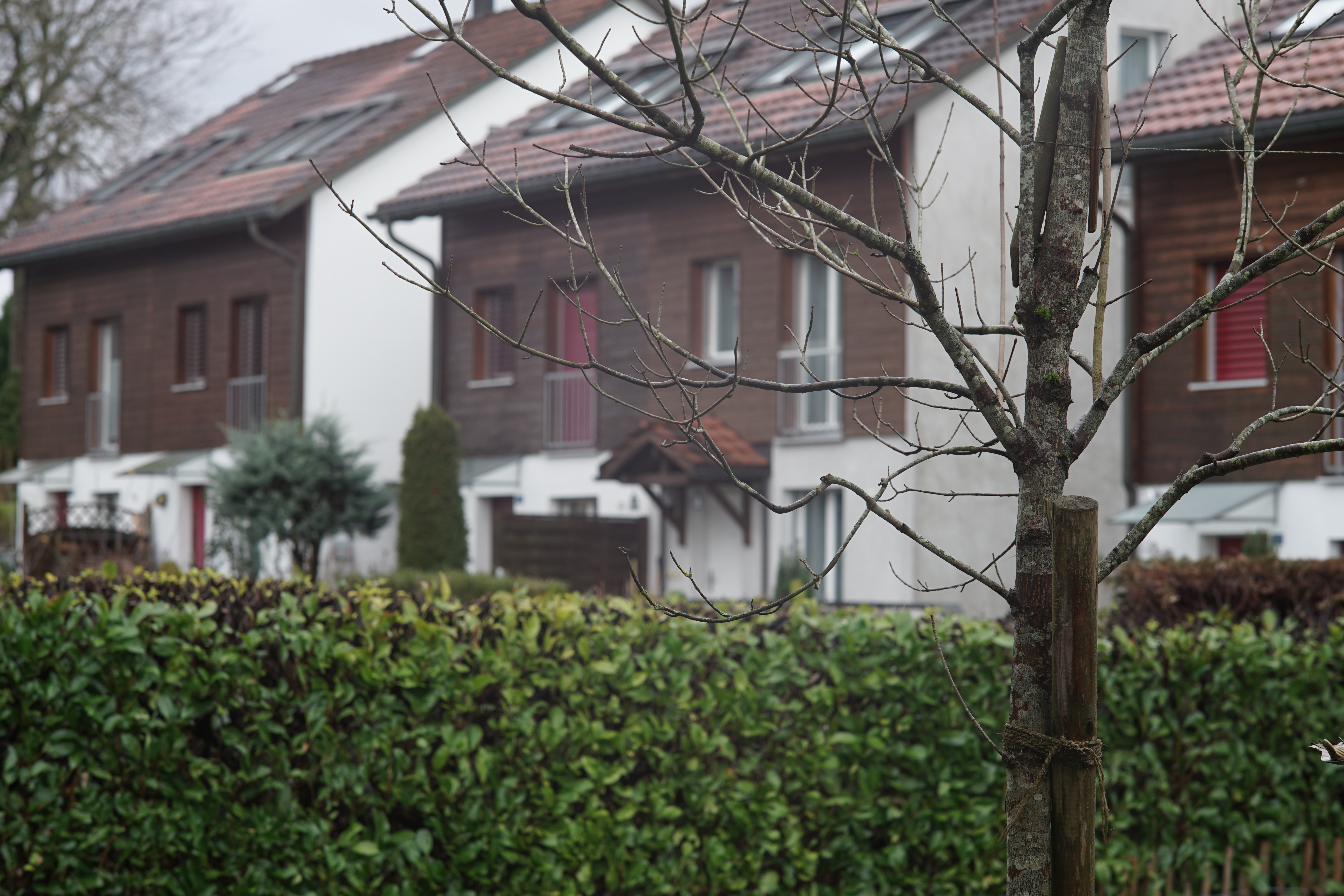 Name: 01_Canon_100mm_2_8_nah.jpg
Hits: 1105
Größe: 5,24 MB