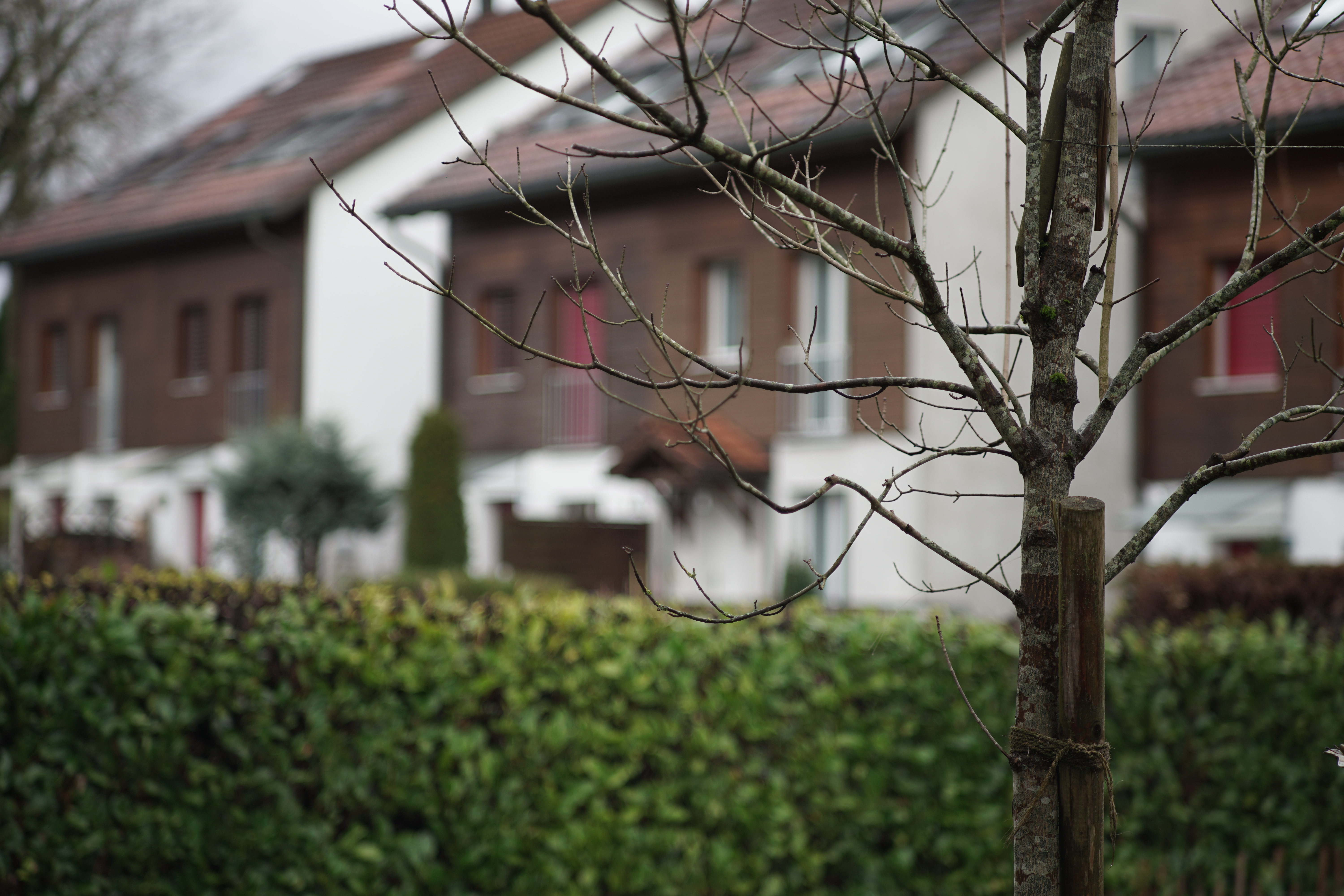 Name: 03_Konica_100mm_2.8_2.8_nah.jpg
Hits: 1098
Größe: 4,64 MB