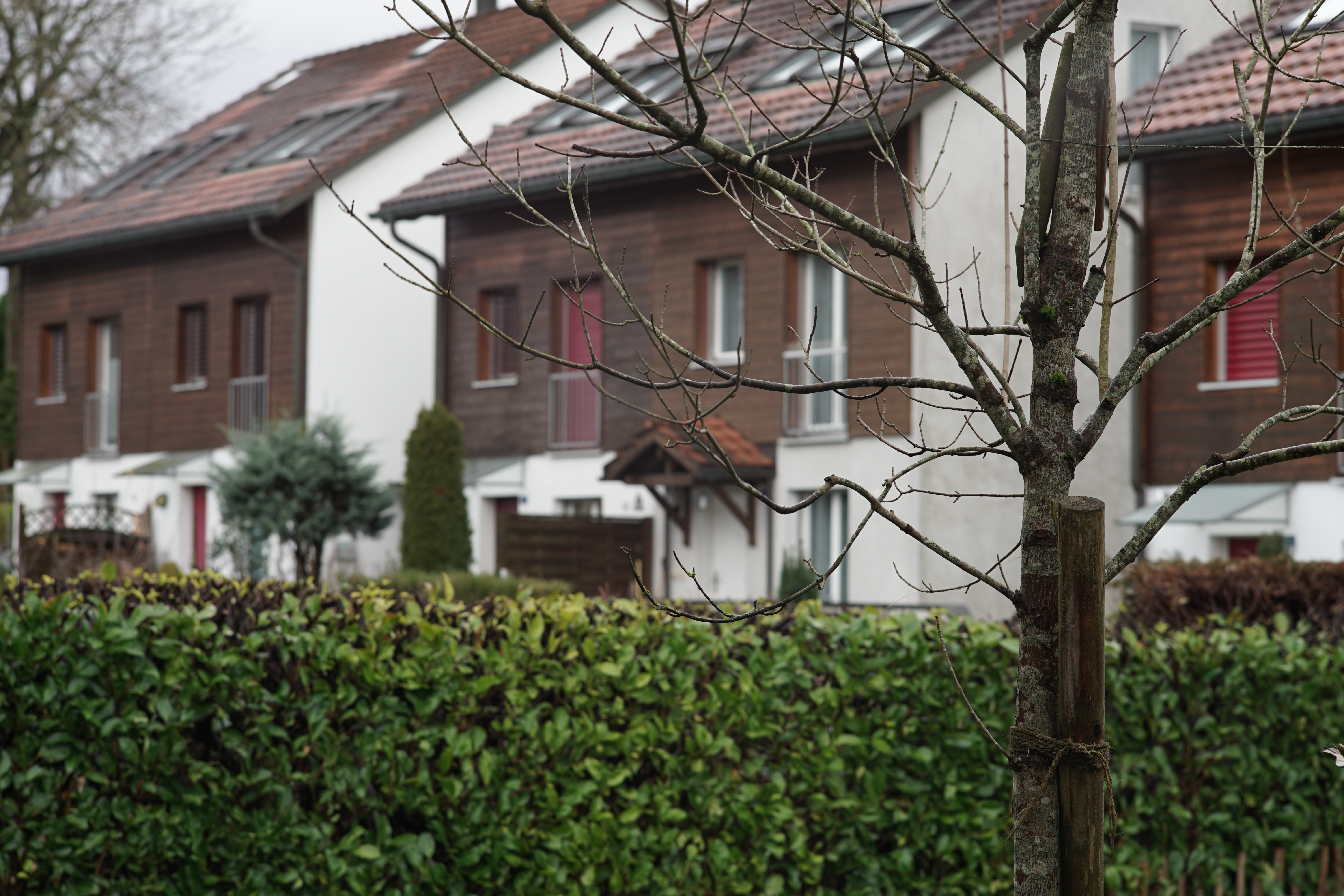 Name: 03_Konica_100mm_2.8_8_nah.jpg
Hits: 1113
Größe: 5,41 MB