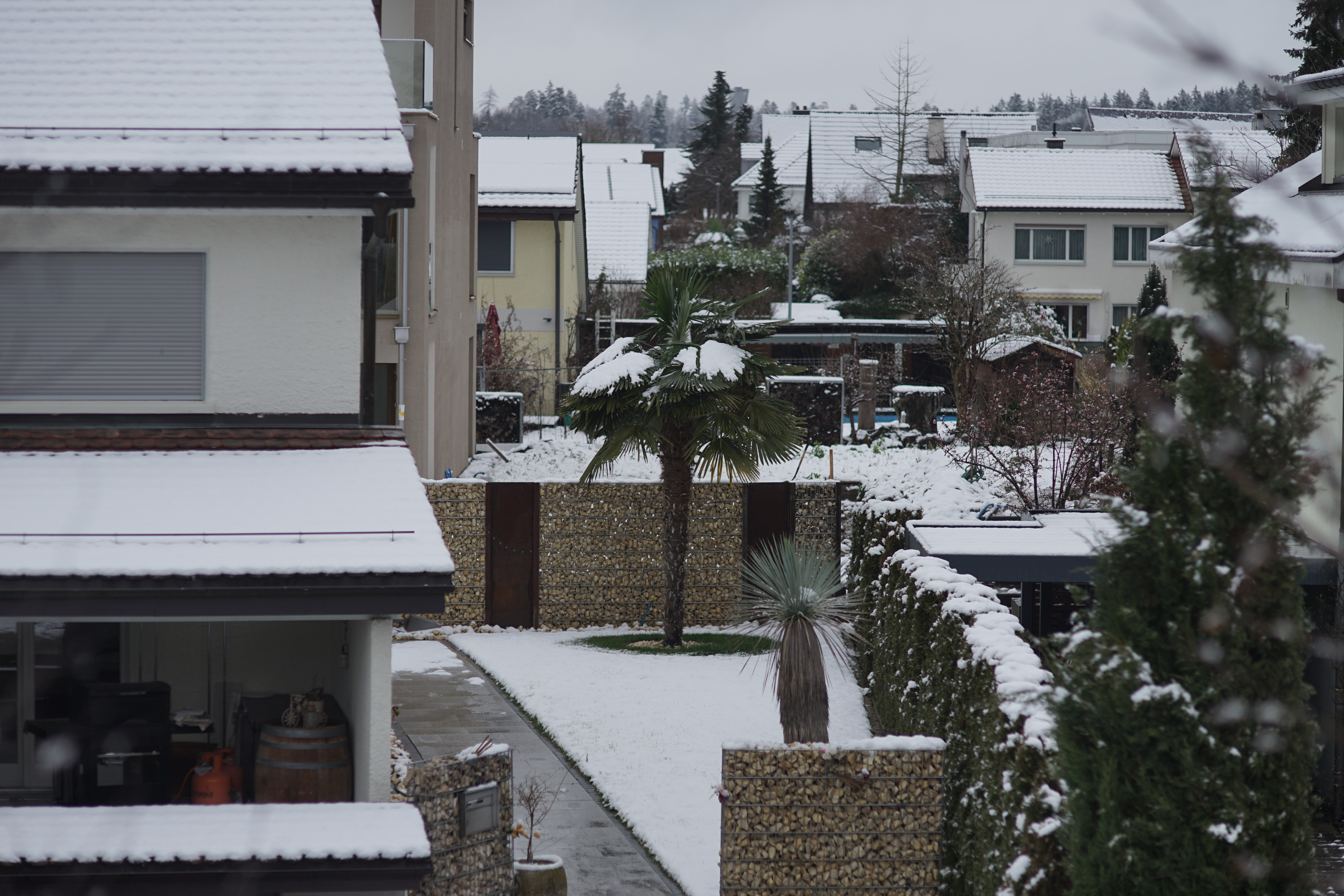 Name: 01_Canon_100mm_2_2.8_Schnee.jpg
Hits: 1131
Größe: 4,74 MB