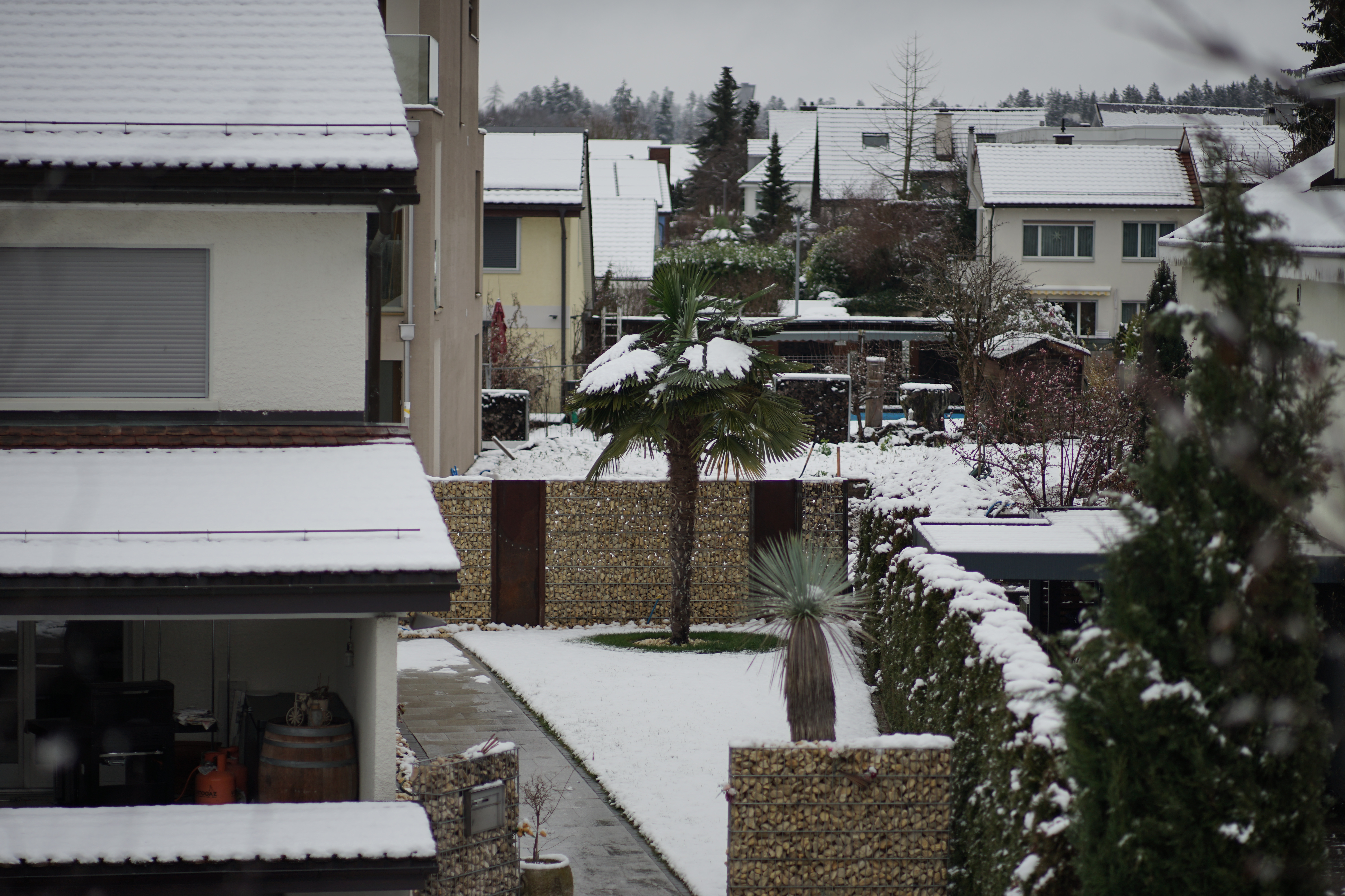 Name: 02_Zeiss_100mm_2_2_Schnee.jpg
Hits: 1137
Größe: 4,89 MB