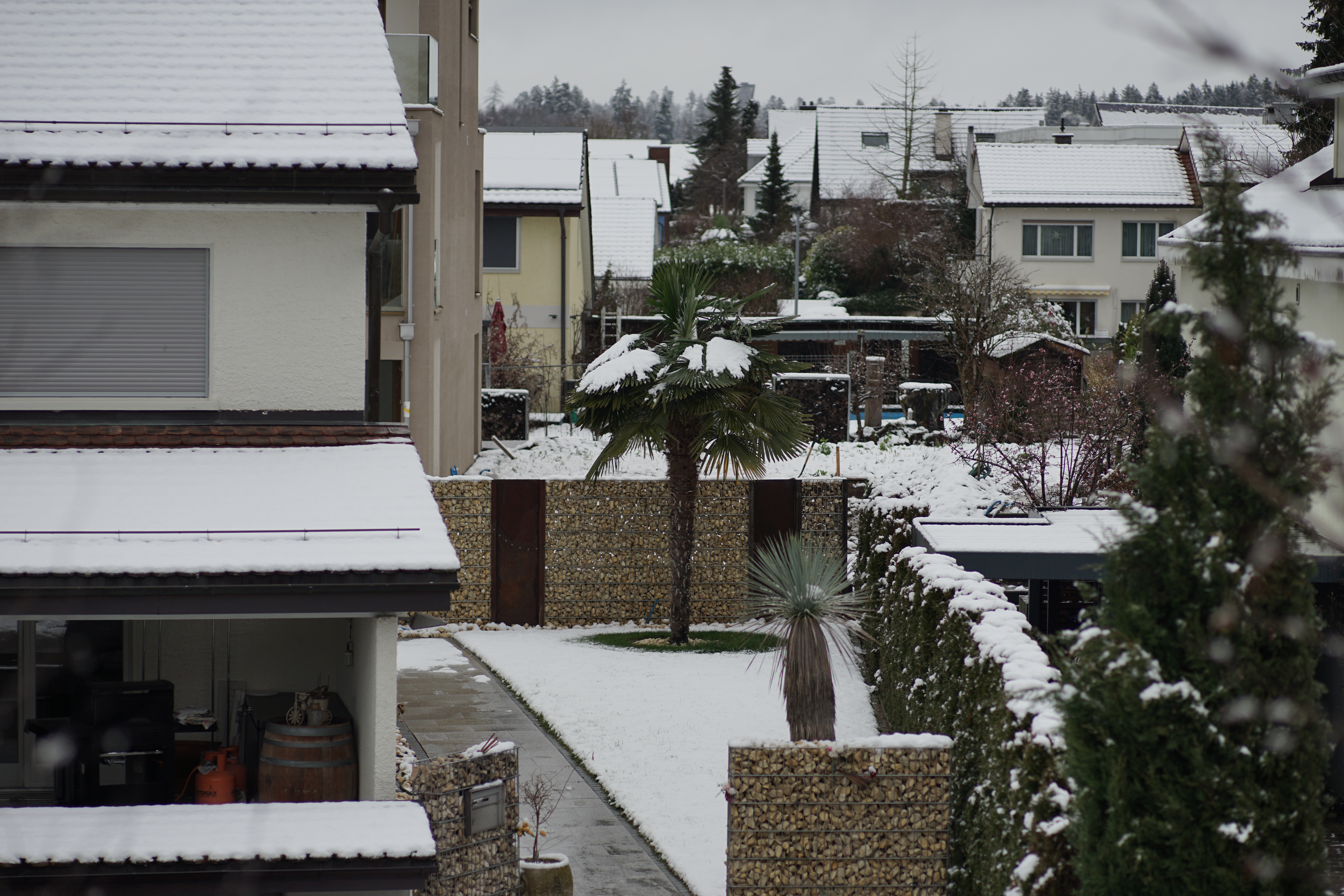 Name: 02_Zeiss_100mm_2_2.8_Schnee.jpg
Hits: 1120
Größe: 5,14 MB