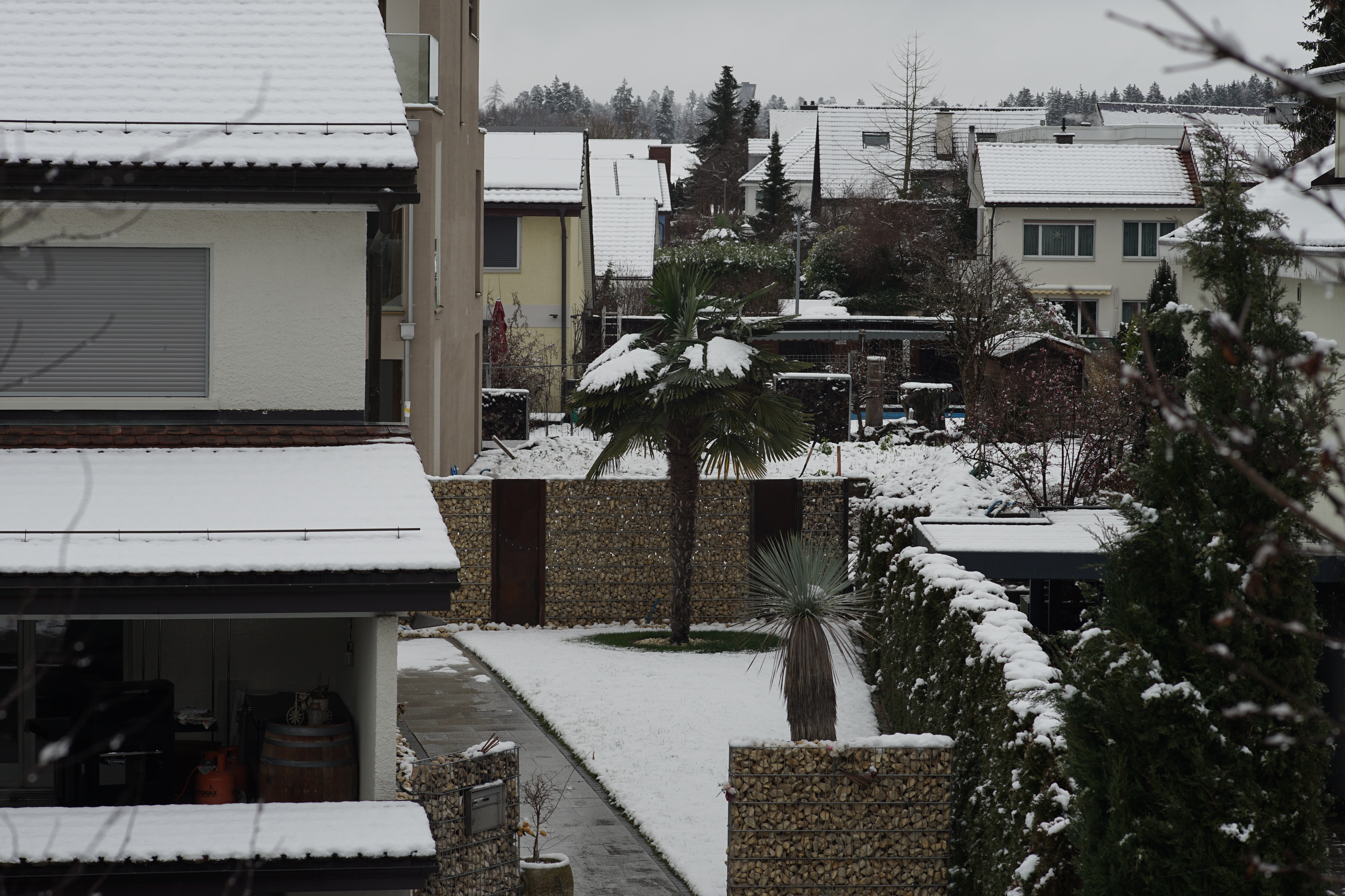 Name: 02_Zeiss_100mm_2_8_Schnee.jpg
Hits: 1115
Größe: 5,68 MB