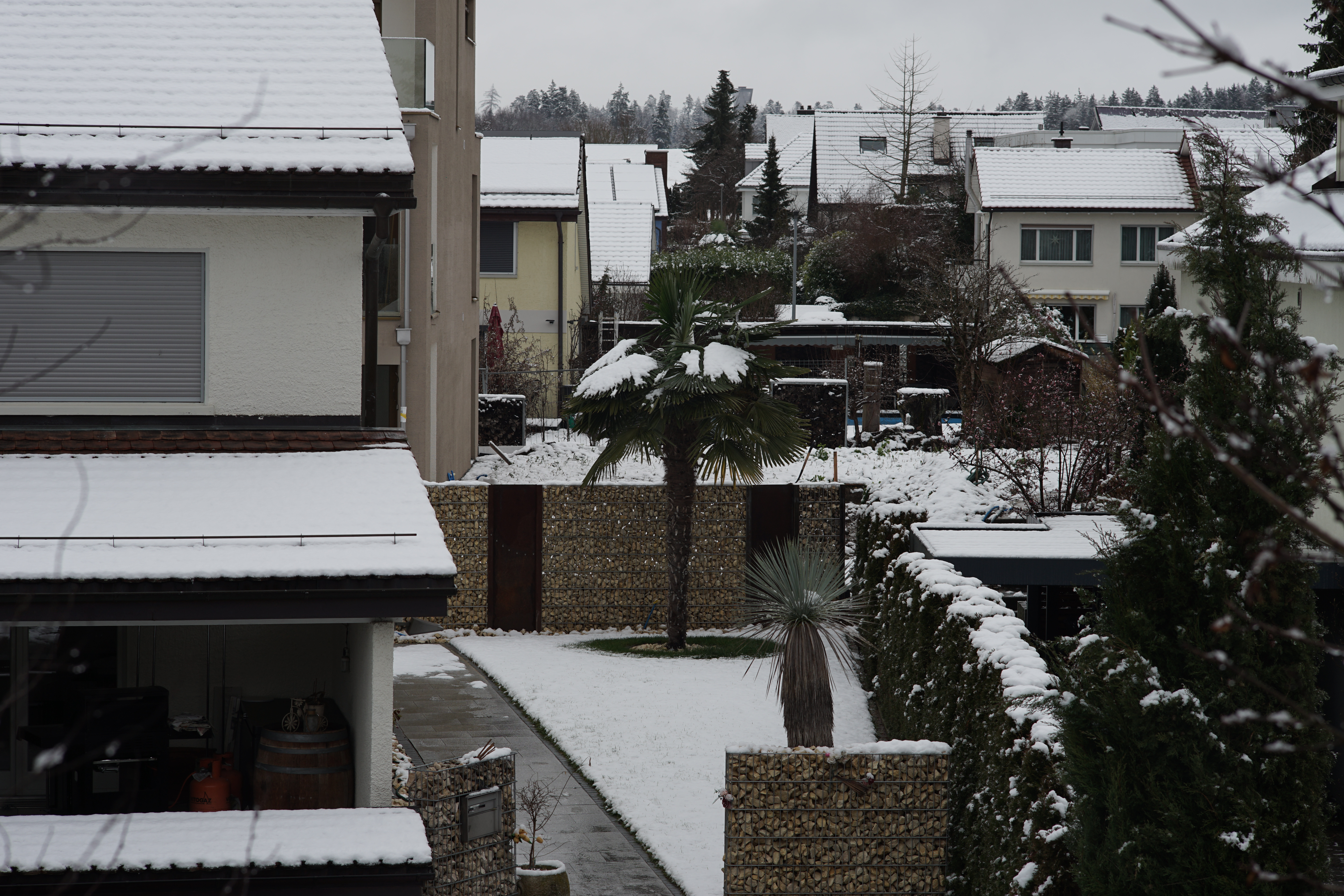 Name: 03_Konica_100mm_2.8_8_Schnee.jpg
Hits: 1114
Größe: 5,83 MB