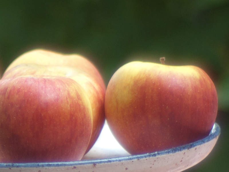 Name: aepfel_zuiko..JPG
Hits: 6279
Größe: 206,7 KB