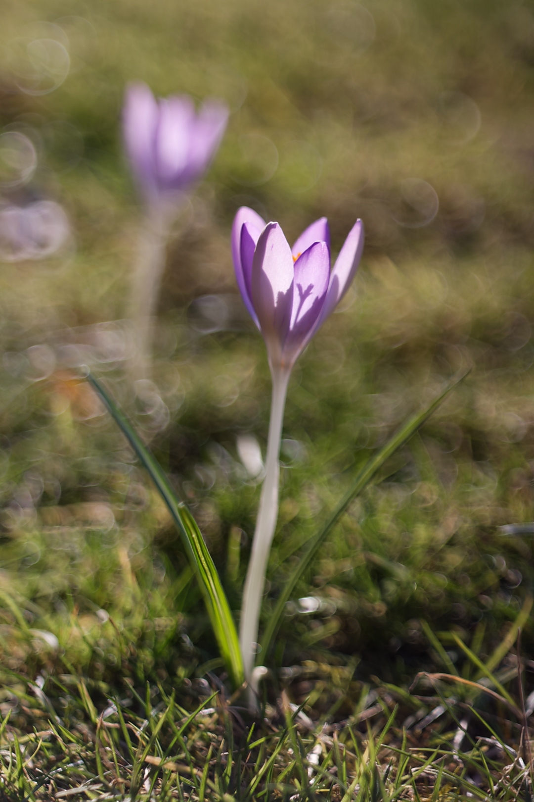 Name: gal-250302-152045-C3167-o01.jpg
Hits: 504
Größe: 555,1 KB