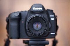 Name: 4486920601_79938bcc&.jpg
Hits: 12021
Größe: 14,1 KB