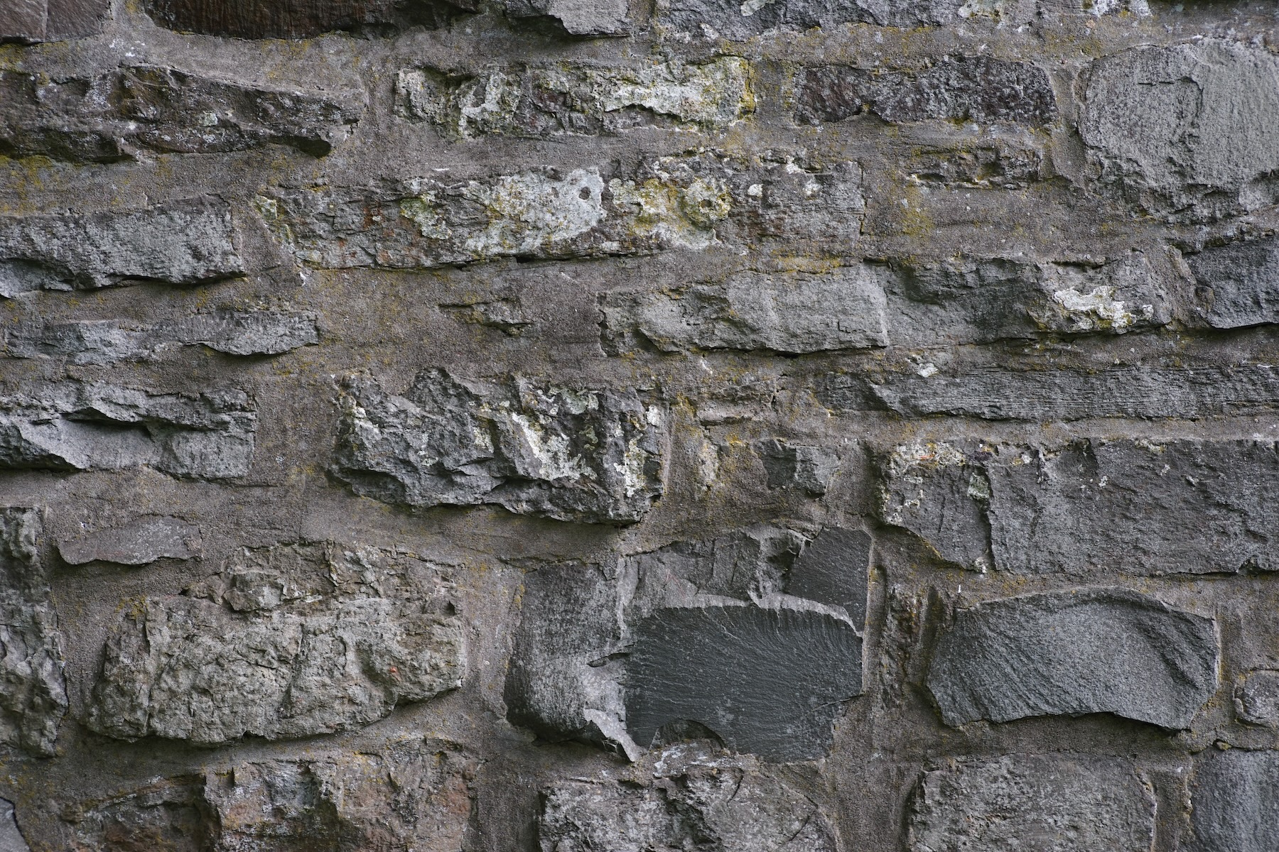 Name: S7I04194.JPG
Hits: 1166
Größe: 1,08 MB