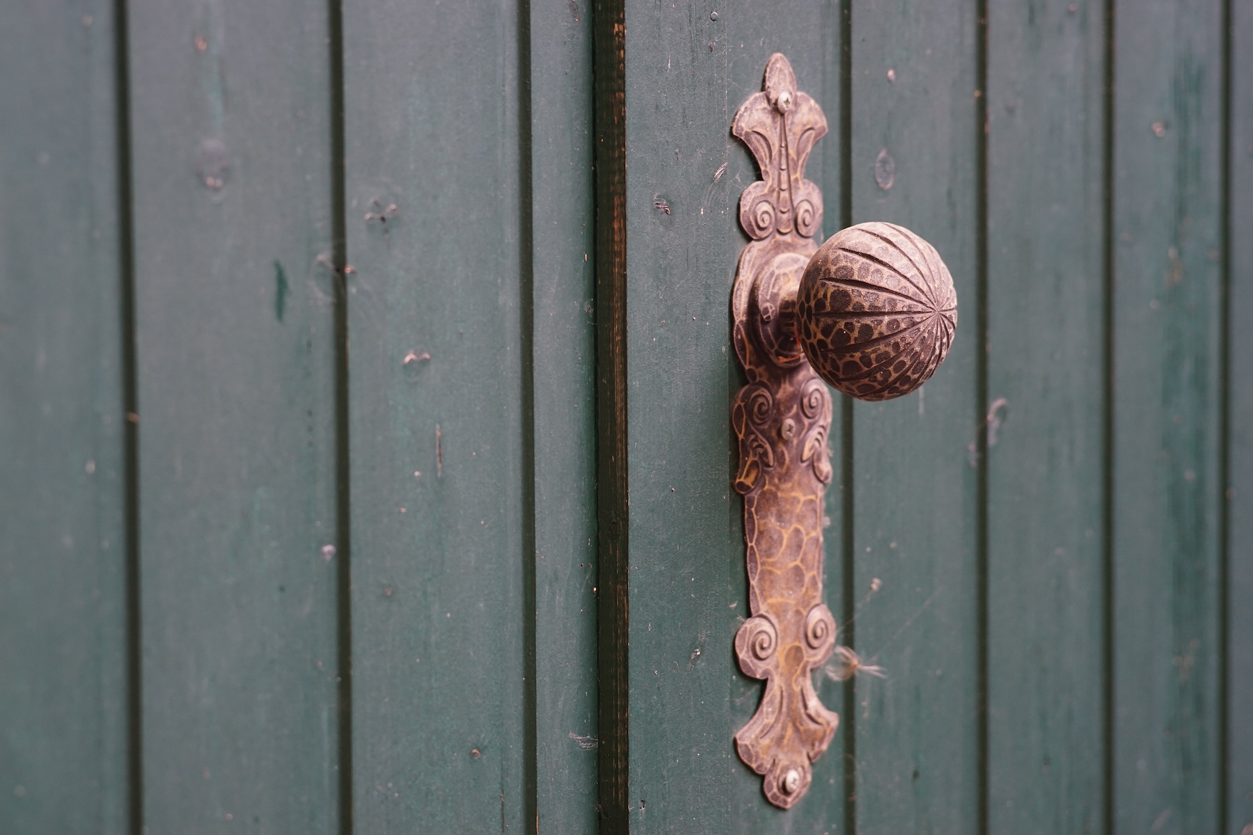 Name: S7I04192.JPG
Hits: 1135
Größe: 448,8 KB