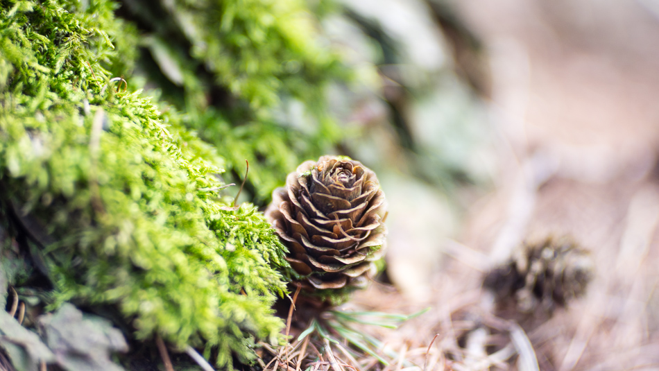 Name:  DSC06968.jpg
Hits: 2544
Größe:  298,4 KB