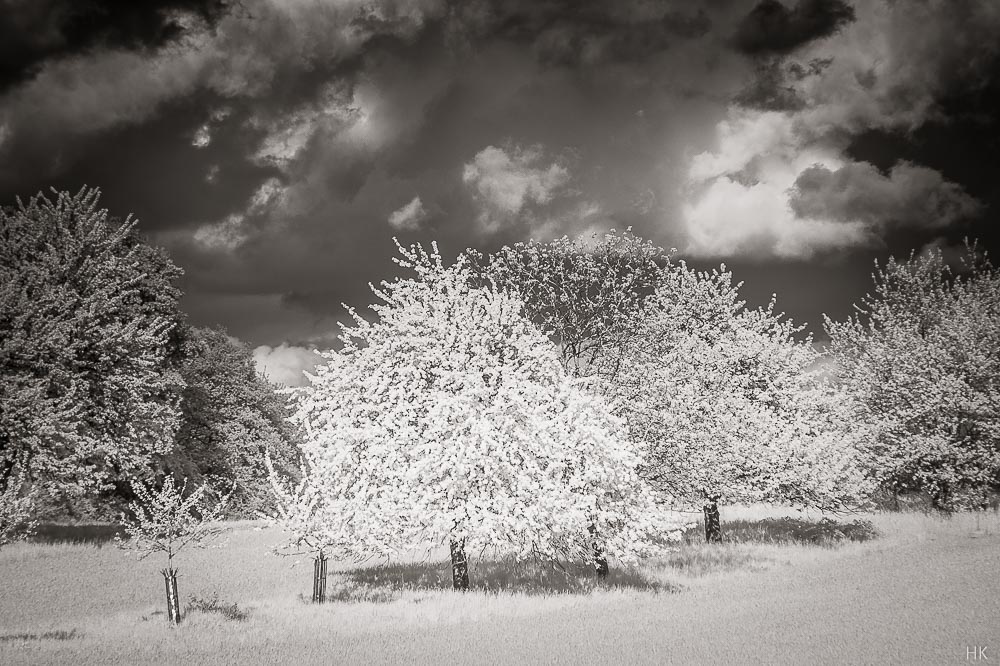 Name:  zenit_IR100-2.jpg
Hits: 1065
Gre:  185,5 KB