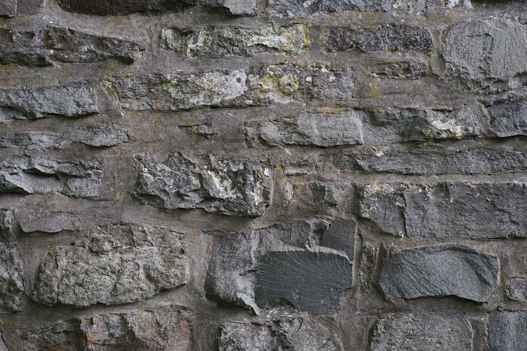 Name: S7I04195.JPG
Hits: 802
Größe: 1,10 MB