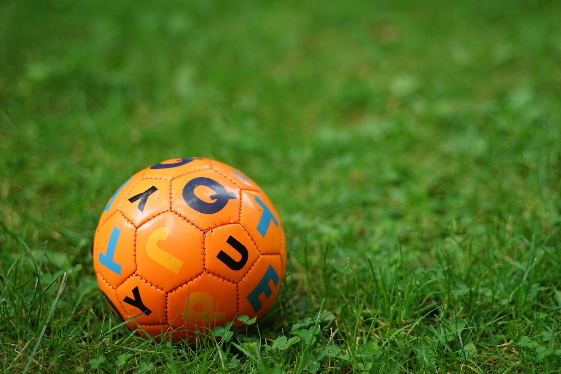 Name: S7I04198.JPG
Hits: 696
Größe: 456,6 KB