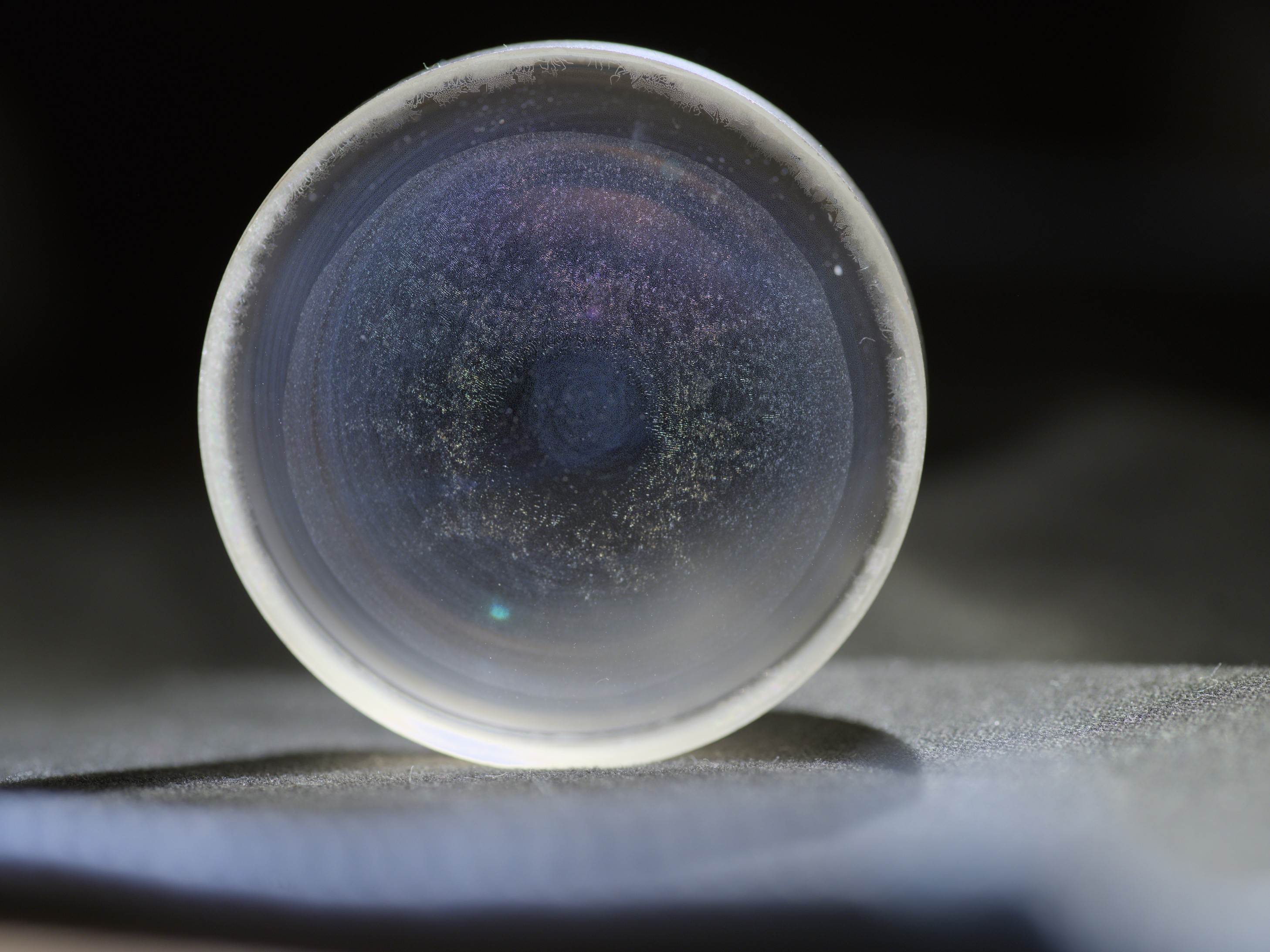 Name: _DSF0754.jpg
Hits: 1323
Größe: 940,5 KB