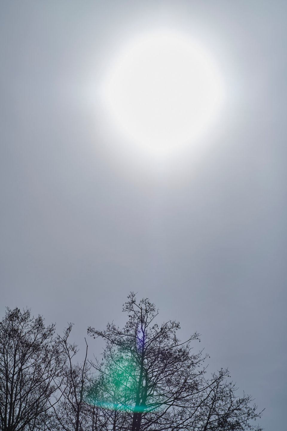 Name: DSCF4553skal.jpg
Hits: 276
Größe: 196,4 KB