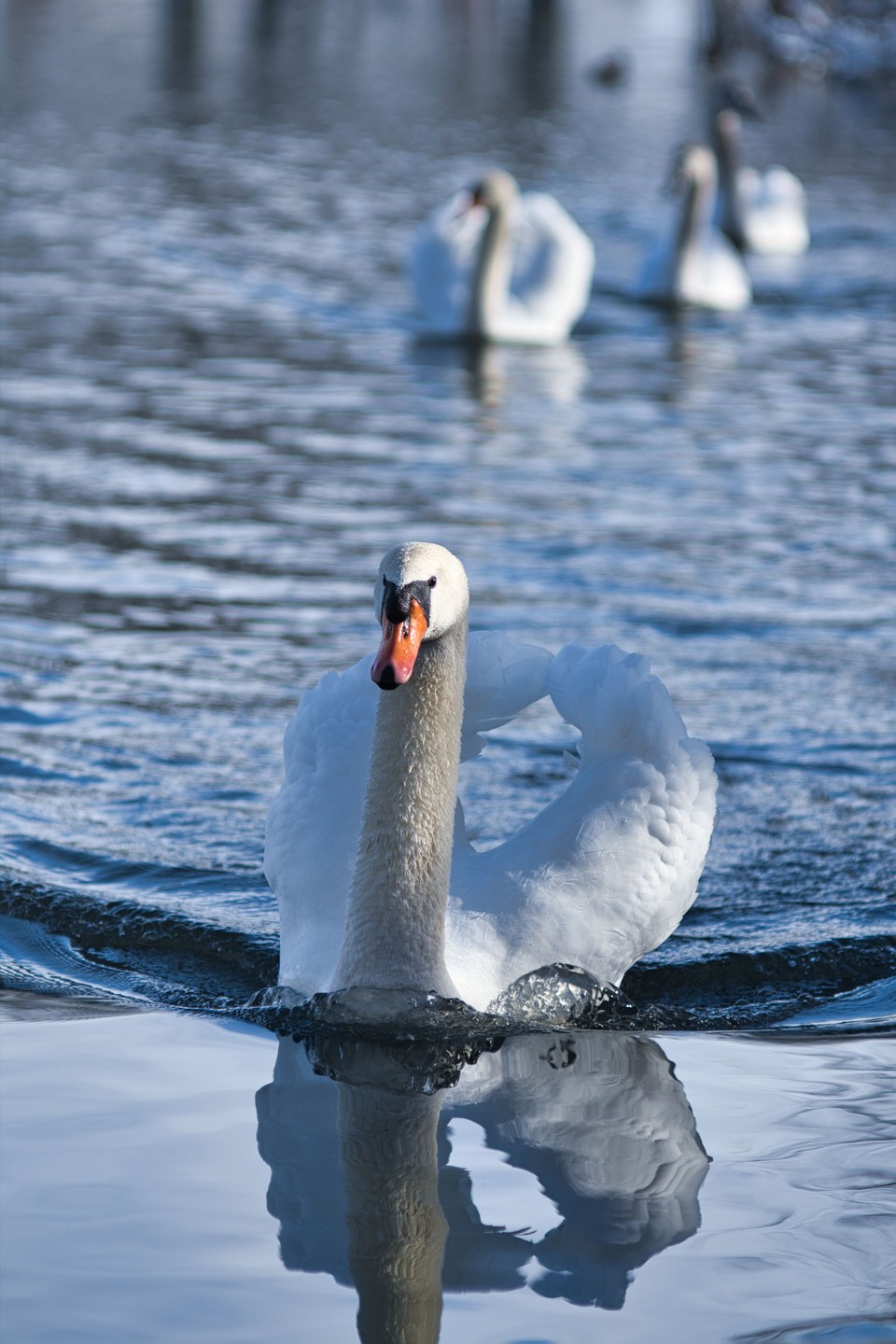 Name: digicamclub.jpg
Hits: 284
Größe: 241,9 KB