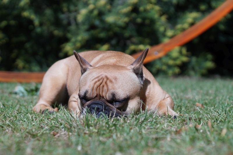 Name: DSC01511.JPG
Hits: 2824
Größe: 166,4 KB