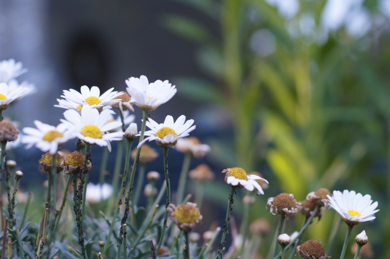 Name: DSC01773.JPG
Hits: 2821
Größe: 142,3 KB