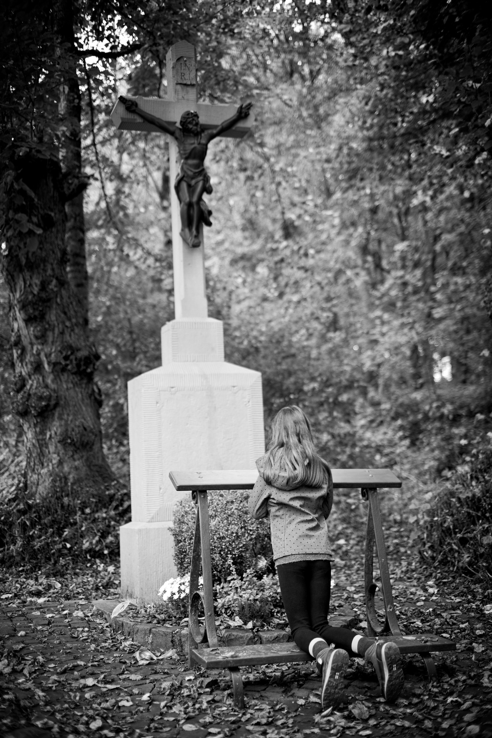 Name: S7I05268.jpg
Hits: 408
Größe: 1,23 MB