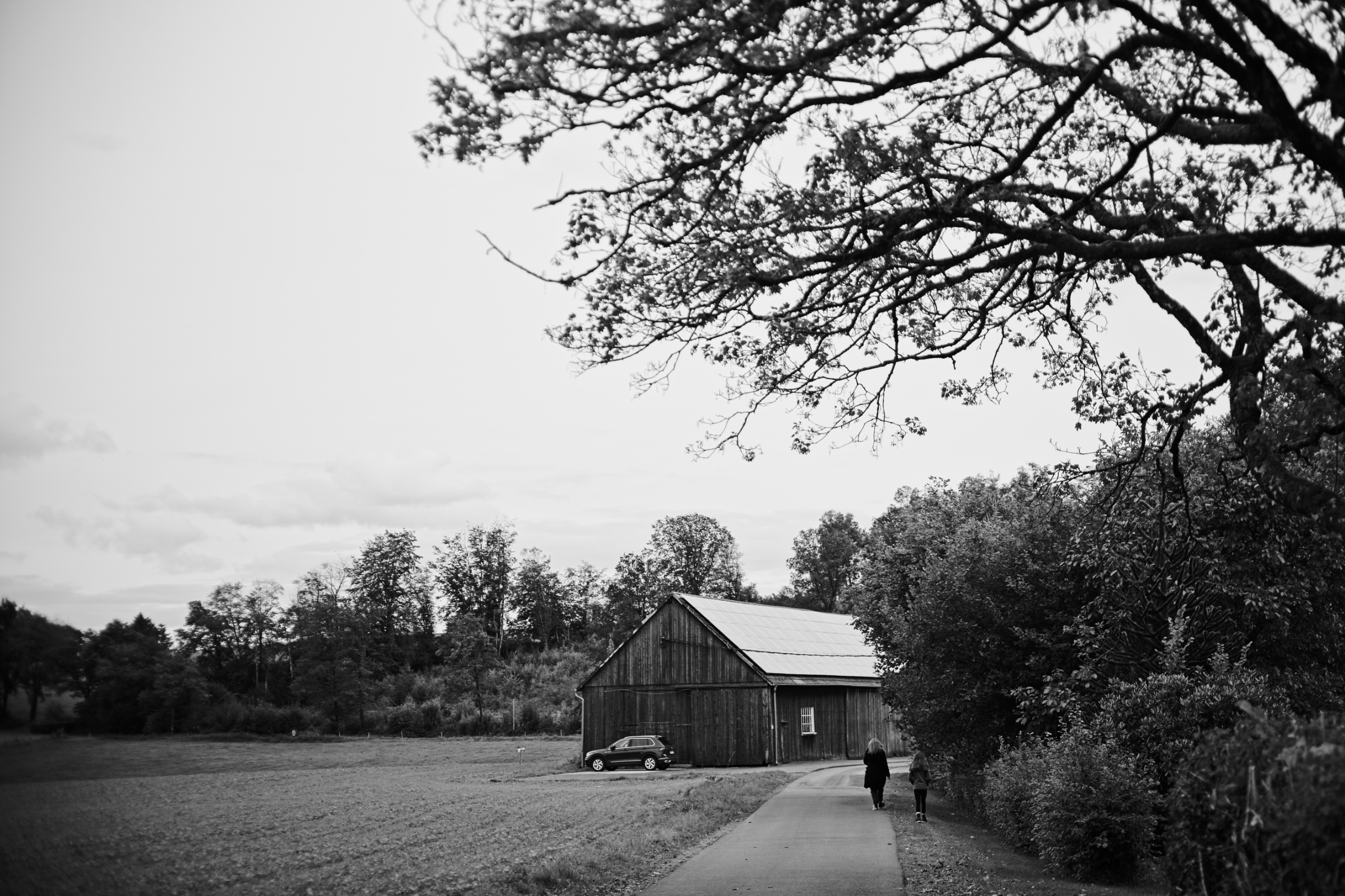 Name: S7I05280.jpg
Hits: 383
Größe: 1,98 MB