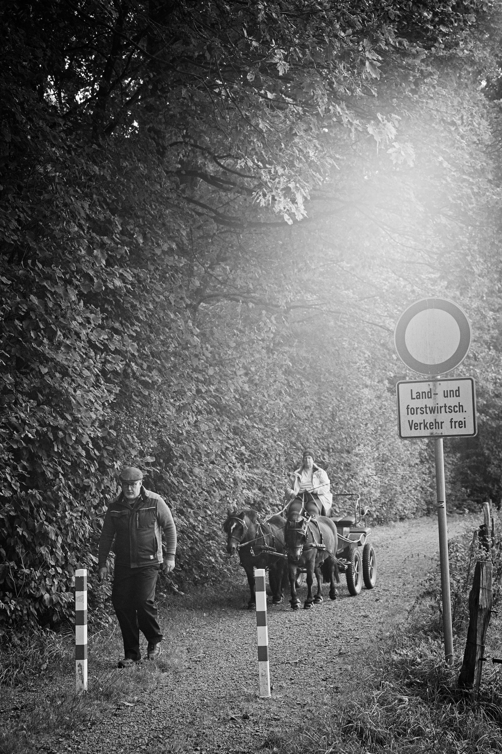 Name: S7I05284.jpg
Hits: 381
Größe: 1,86 MB