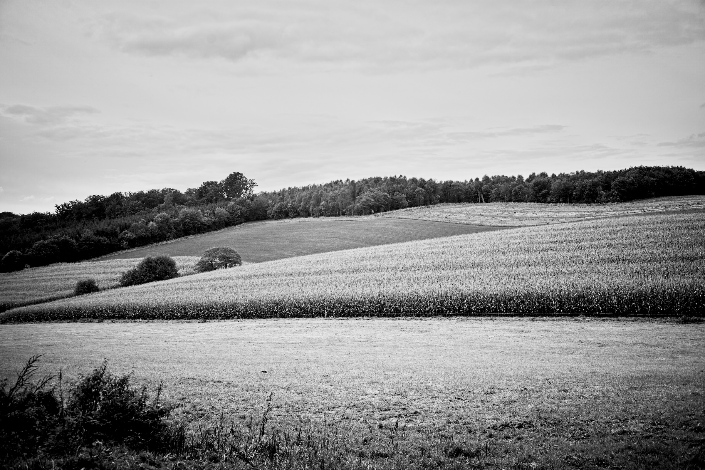 Name: S7I05285.jpg
Hits: 377
Größe: 1,47 MB