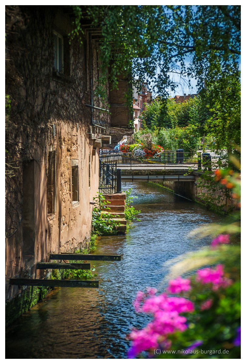 Name:  299kb_Wissembourg Soligor 35-70 f2.5-3.5 + 60-300 f4-5.6 059.jpg
Hits: 743
Gre:  295,7 KB