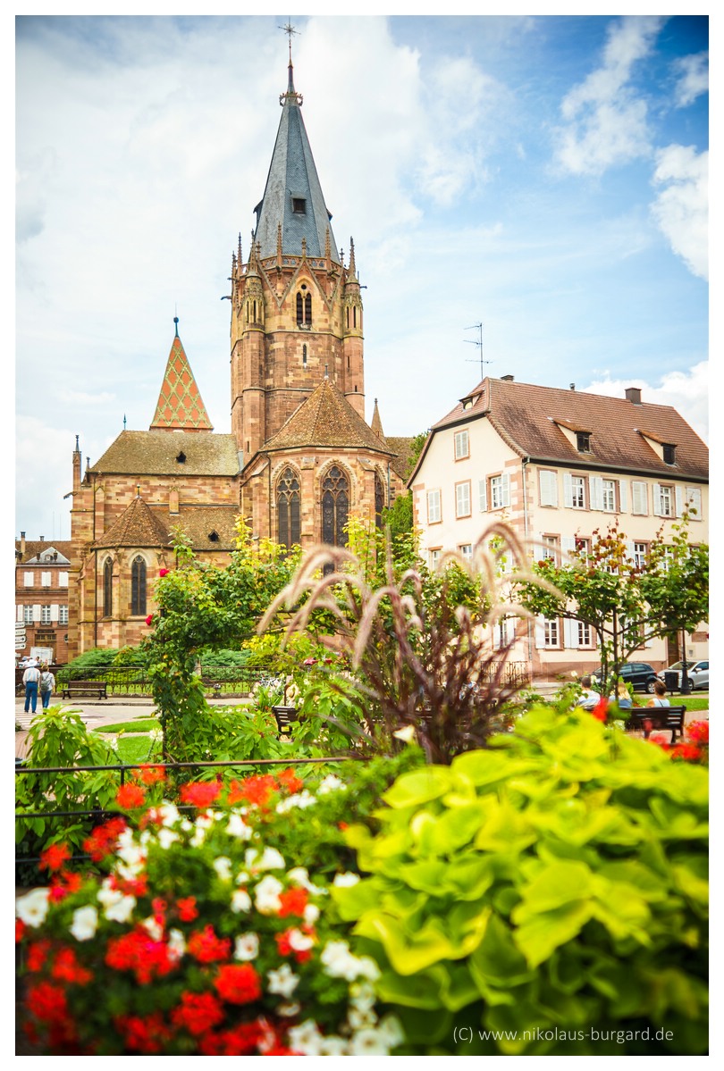 Name:  299kb_Wissembourg Soligor 35-70 f2.5-3.5 + 60-300 f4-5.6 019.jpg
Hits: 746
Gre:  285,8 KB