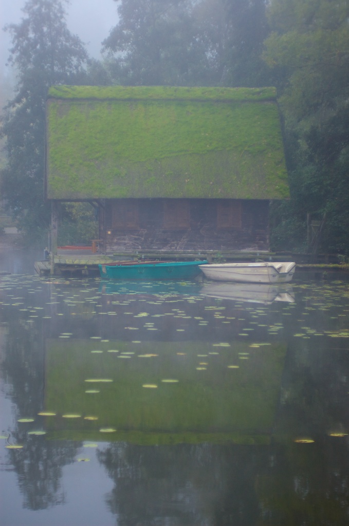 Name:  IMGP8529.jpg
Hits: 530
Größe:  158,8 KB