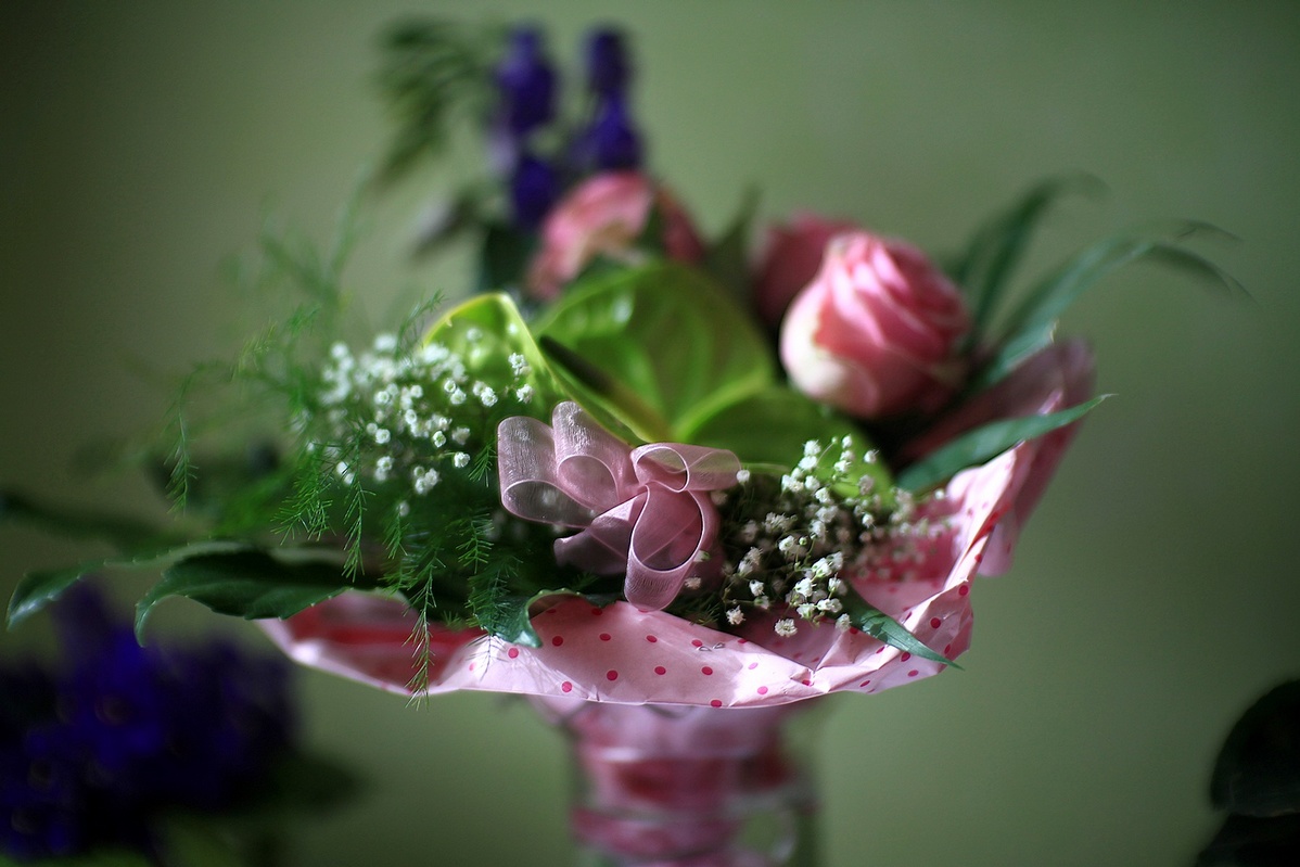 Name:  IMG_8803DCC.jpg
Hits: 495
Größe:  243,7 KB