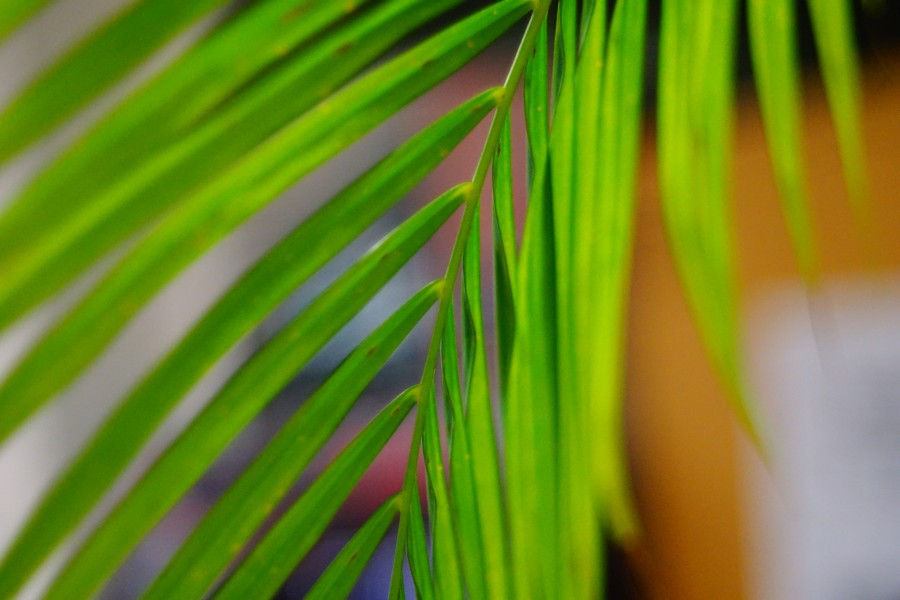 Name:  DSC06970.jpg
Hits: 1493
Größe:  128,7 KB