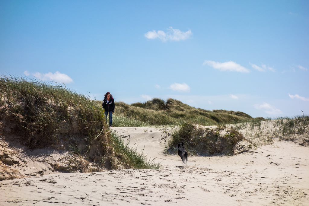 Mensch, Hund, Sonne und St. Peter-Ording