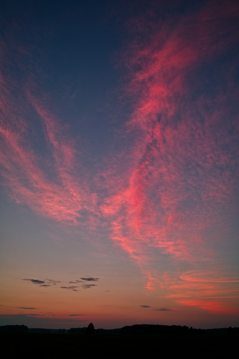 ...und ewig lockt die Rosa Wolke