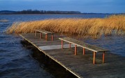 Dezemberwind am Oberuckersee