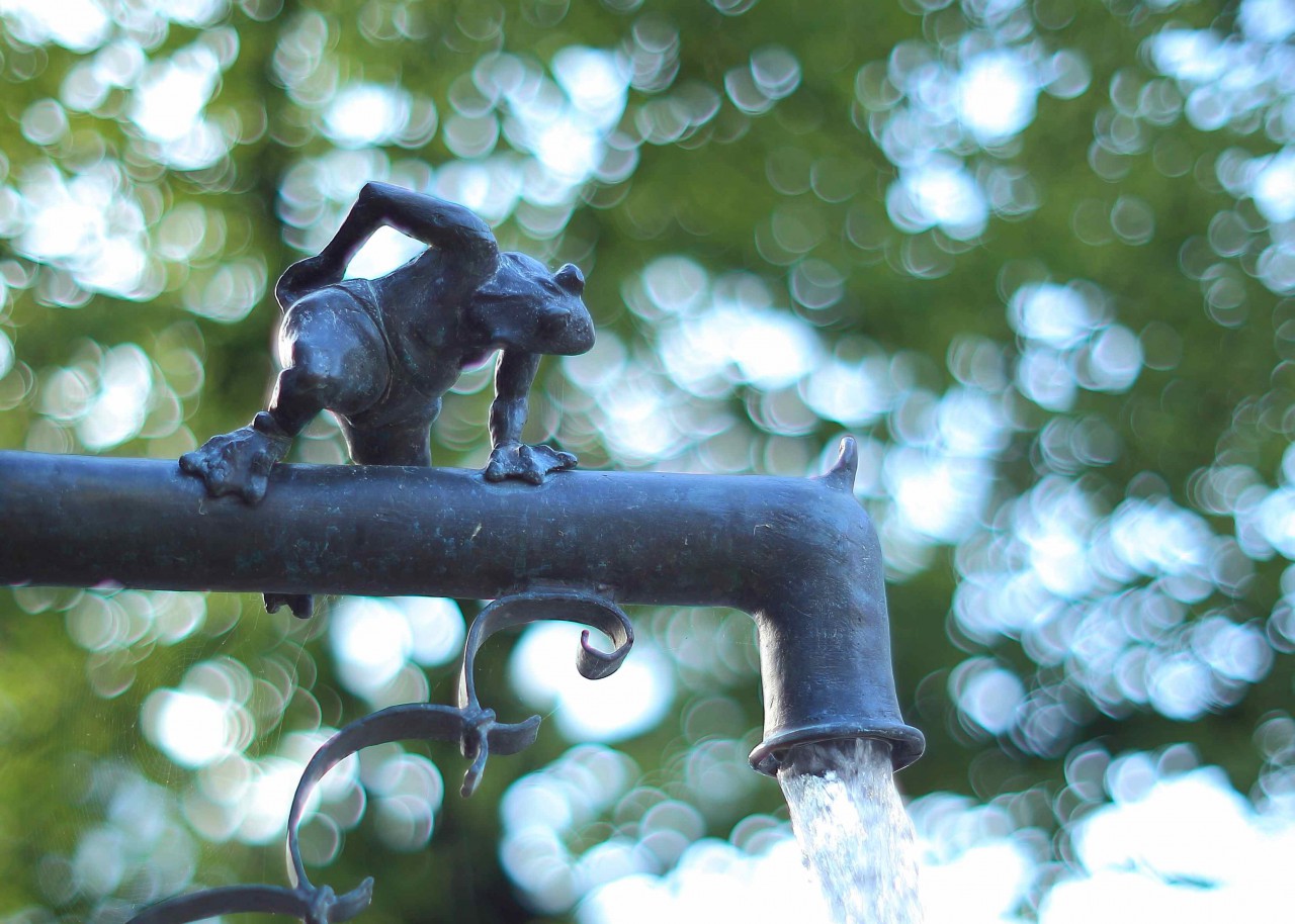 Ziegenbrunnen in Lgde