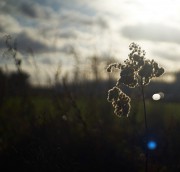 Sommergefhle im Winter